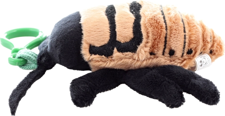 Taille compacte pour les déplacements