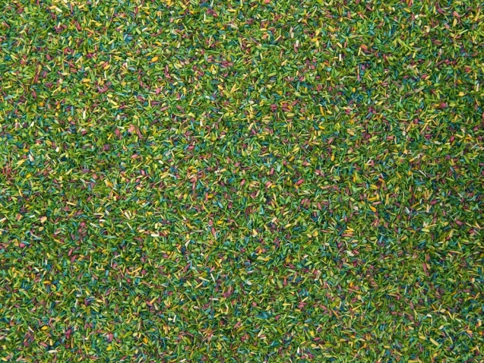 Herbe statique Noch Prairie fleurie 150 g