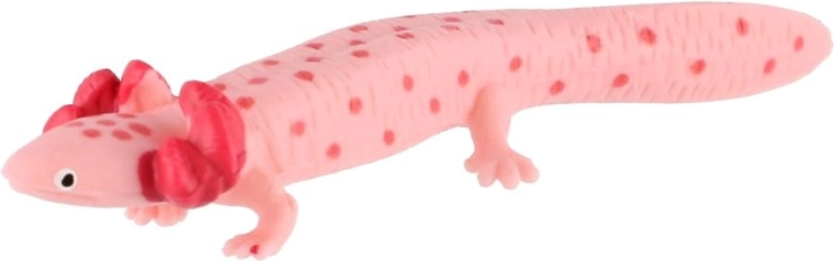 Apparence caractéristique de l’axolotl