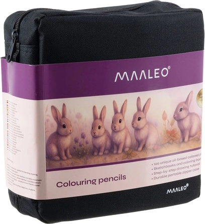 Élégant étui zippé organisé