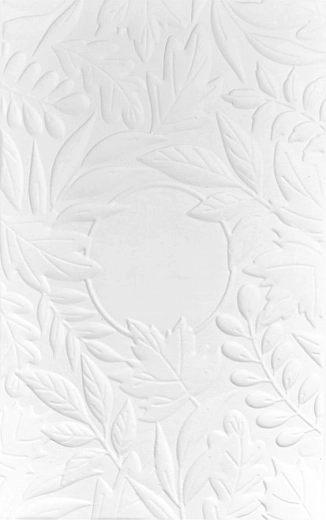 Effet 3D en relief pour un effet waouh