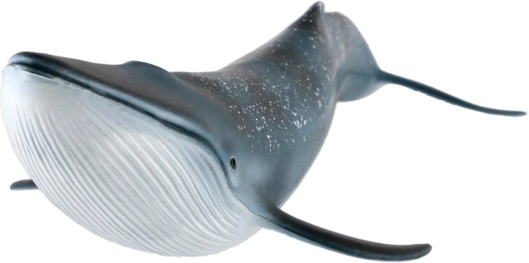 Taille de 27 cm