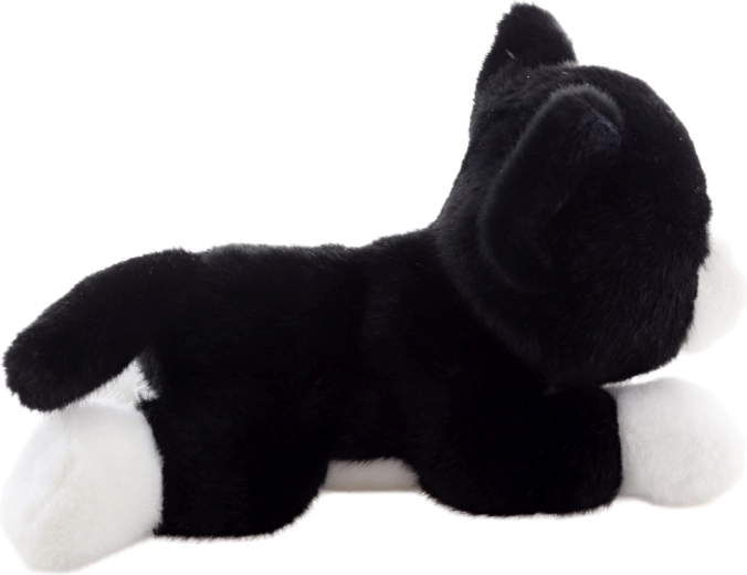 Légère et idéale pour les voyages