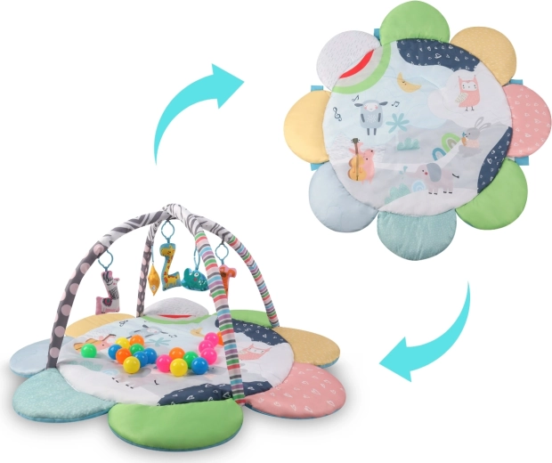 2-en-1 : avec arches et aussi comme tapis seul