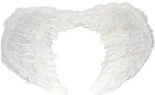 Grandes ailes d’ange