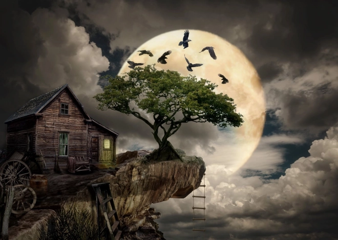 Puzzle ENJOY chalet sur la falaise 1000 pièces