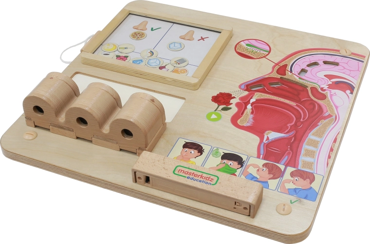 Apprendre les sens en jouant
