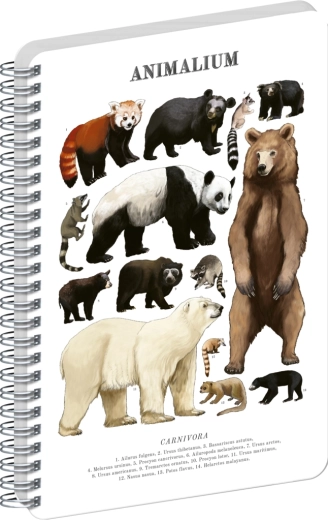 Bloc-notes spirale Notique Animalium – mammifères carnivores, pages blanches, A5