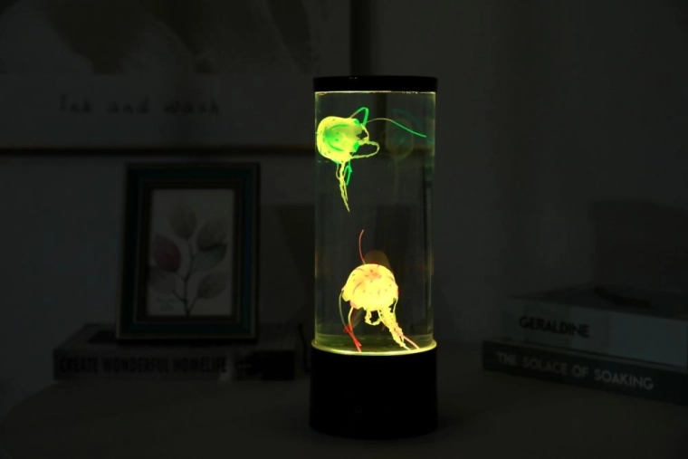 Éclairage LED coloré