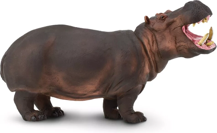 Safari Ltd. hippopotame – figurine réaliste - 1 pièce