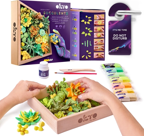 OKTO Energy kit créatif de modelage artistique avec succulentes dans un cadre en bois