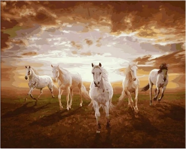 Tableau de peinture par numéros encadré 50 × 40 cm – chevaux au galop