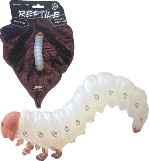 Nature vivante – modèle réaliste d’insecte : larve 11,5 cm