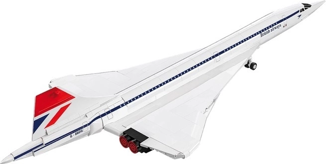Icône de l’aviation à l’échelle 1:100