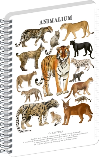 Bloc à spirale Notique Animalium – félins A4, quadrillé