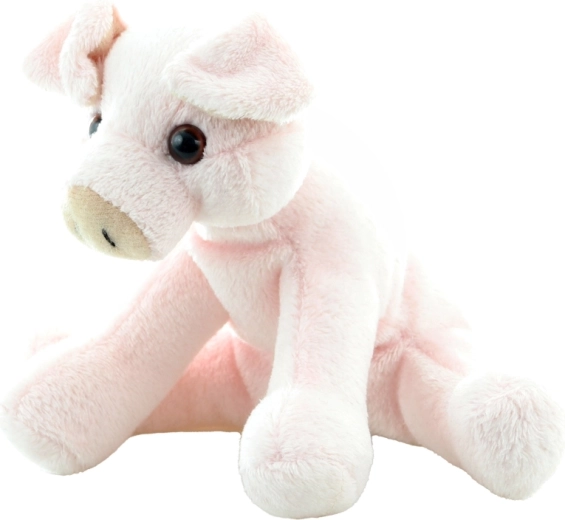 Format compact 14 cm