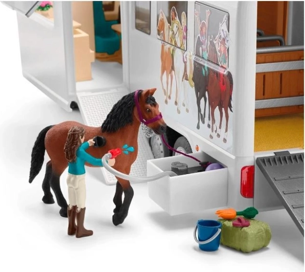 Paddock mobile, soins et entraînement