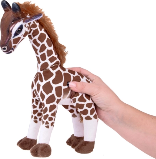 Position stable pour le jeu et la décoration