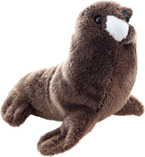 Taille idéale 13 cm