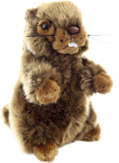 Sûr dès la naissance