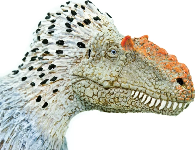 Détails accrocheurs de la tête et du « plumage »