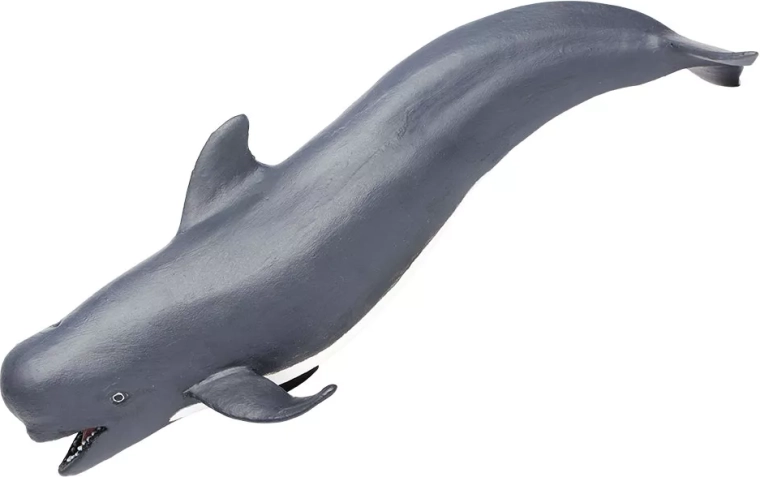 Safari Ltd. figurine globicéphale - 1 pièce