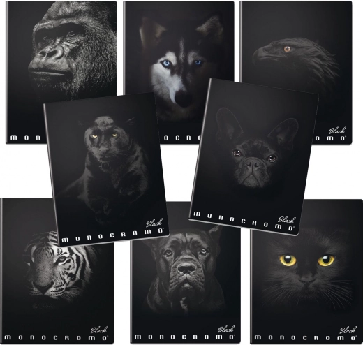 Cahier scolaire A4 Monocromo noir