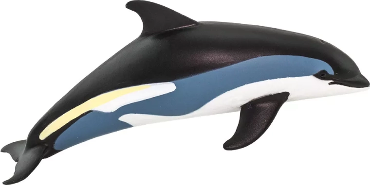 Figurine de dauphin à flancs blancs Safari Ltd. - 1 pièce