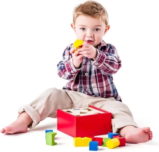 Jouet éducatif à partir de 2 ans