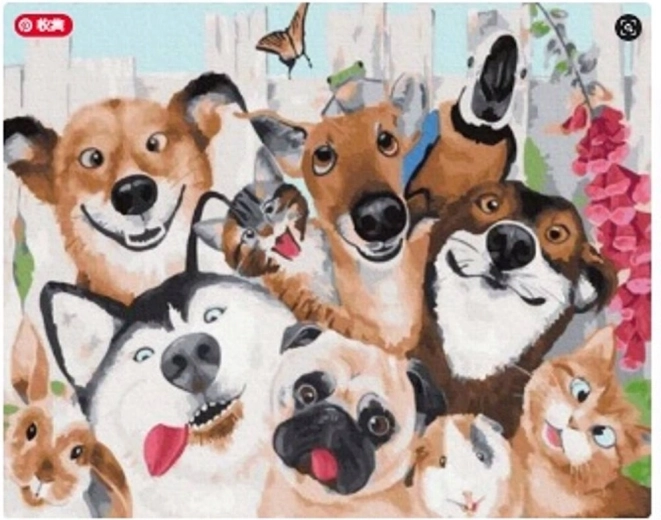 Norimpex peinture par numéros chiens et chats 40 × 50 cm