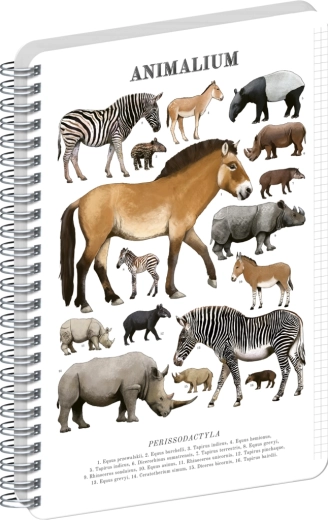 Bloc-notes spirale Notique Animalium – périssodactyles, A4, quadrillé