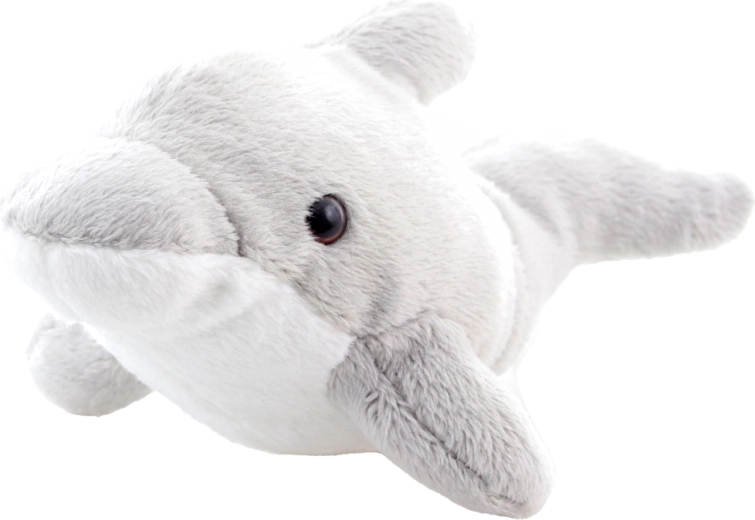 Format compact 16 cm