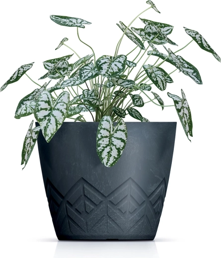 Effet béton stylé avec relief