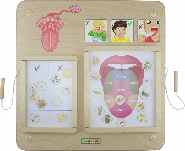Masterkidz Tableau Éducatif Sens du Goût Montessori