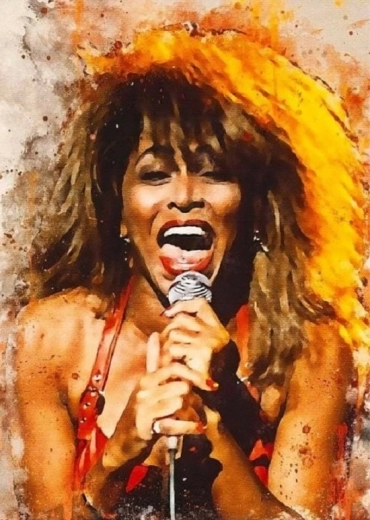 Norimpex Peinture par numéros Tina Turner chante 40 × 50 cm