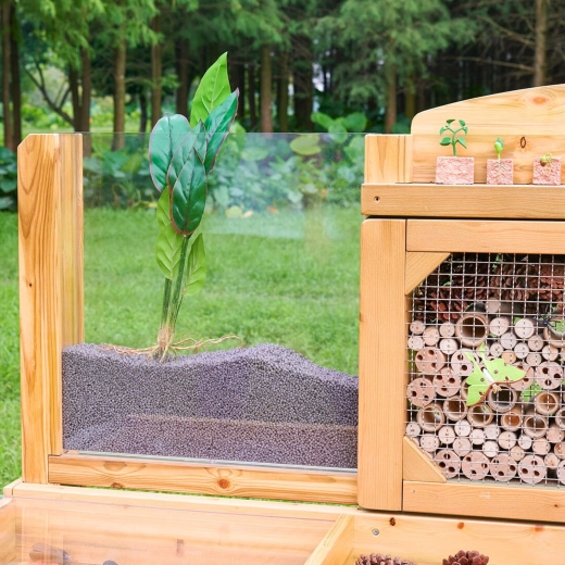 Panneau racinaire : observez la croissance des plantes en temps réel