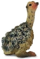Poussin d'autruche assis Collecta
