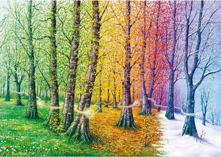 Puzzle Fibres de la vie 1000 pièces MAGNOLIA