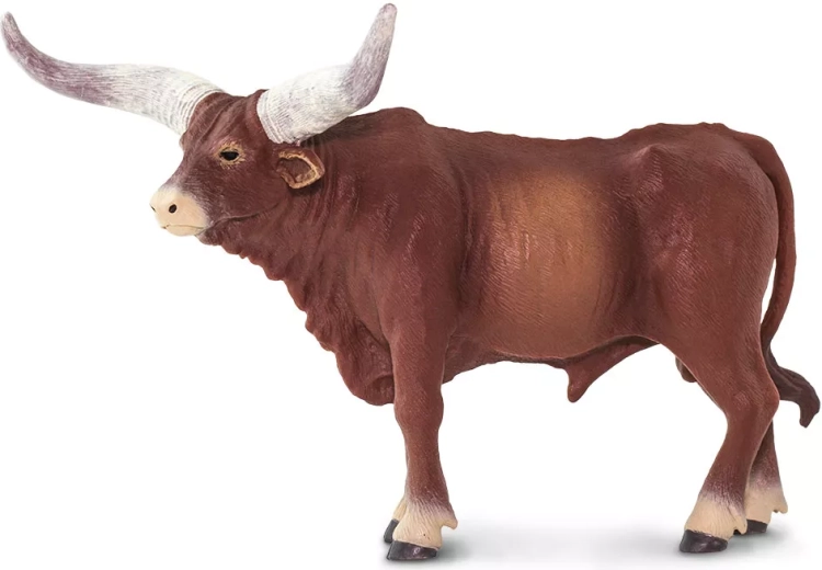 Cornes typiques du watusi en finition réaliste