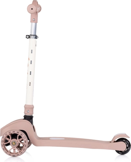 Structure tricycle stable pour un apprentissage facile