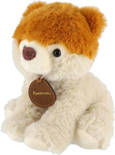 Mix varié dans un lot de 10 pièces