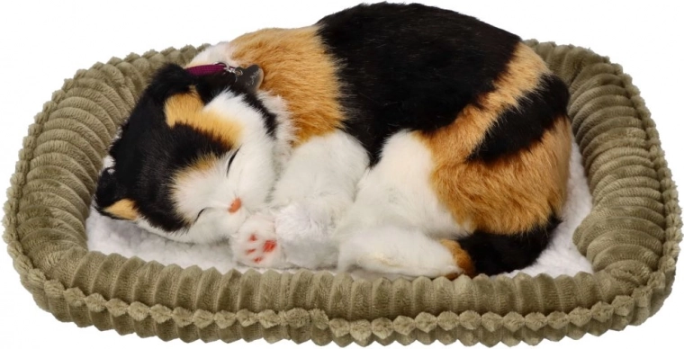 Chaton tricolore respirant dans son panier