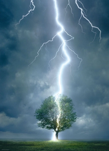Puzzle Eurographics Arbre frappé par la foudre 1000 pièces
