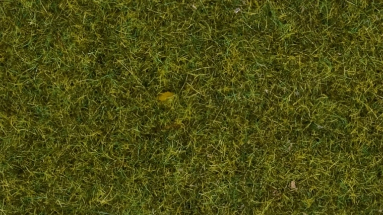 Herbe statique Prairie 4 mm