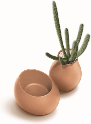 Idéal pour des plantations compactes