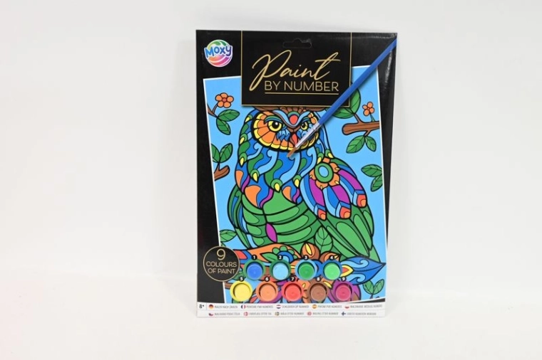 Peinture par numéros A4 avec peintures – chouette colorée
