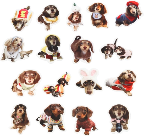 Taille idéale de 5 cm pour la décoration