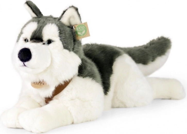 Chien Husky en peluche 60 cm ÉCOLOGIQUE