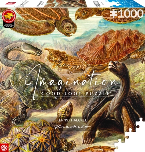 GOOD LOOT Puzzle Imagination : Ernst Haeckel – tortues de mer, 1000 pièces