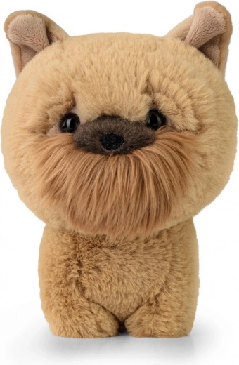 Peluche TEDDY PETS – griffon brabançon